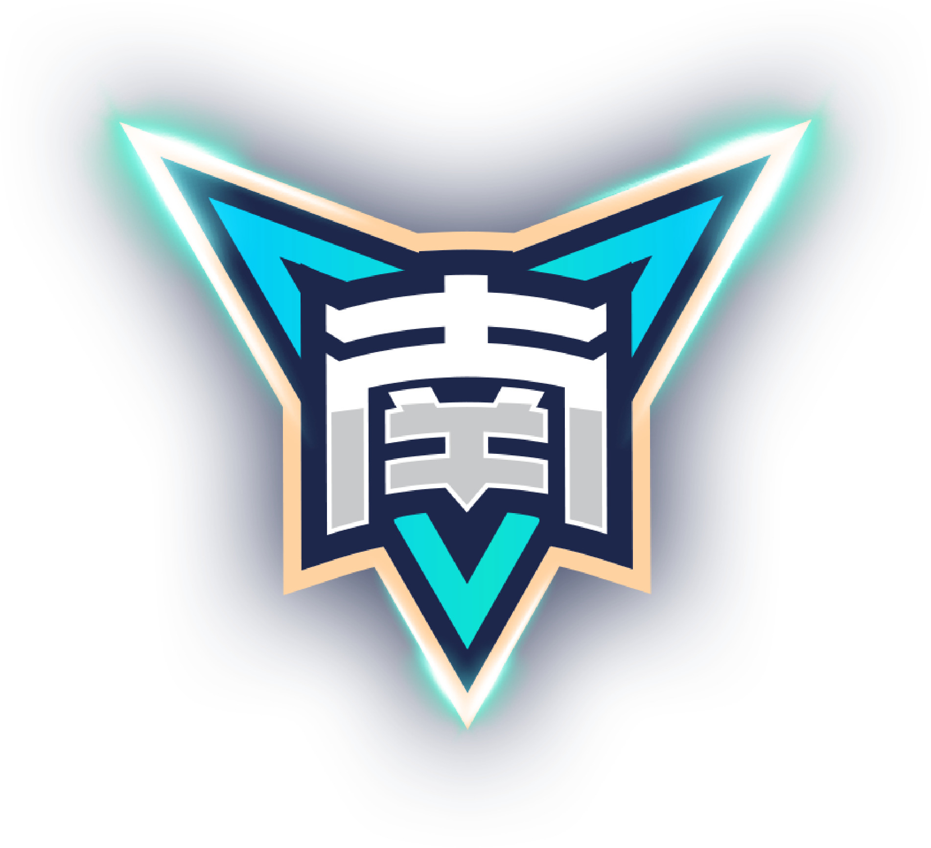 年轻人